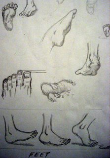 webassets/allbestfeet.jpg